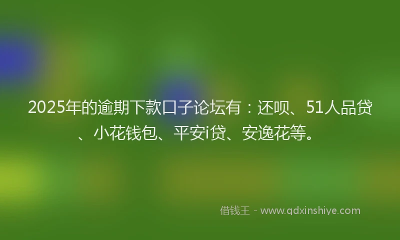 2025年的逾期下款口子论坛有：还呗、51人品贷、小花钱包、平安i贷、安逸花等。