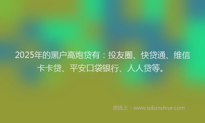 2025年的黑户高炮贷有：投友圈、快贷通、维信卡卡贷、平安口袋银行、人人贷等。