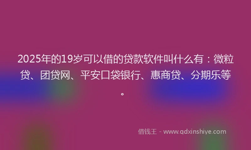 2025年的19岁可以借的贷款软件叫什么有：微粒贷、团贷网、平安口袋银行、惠商贷、分期乐等。