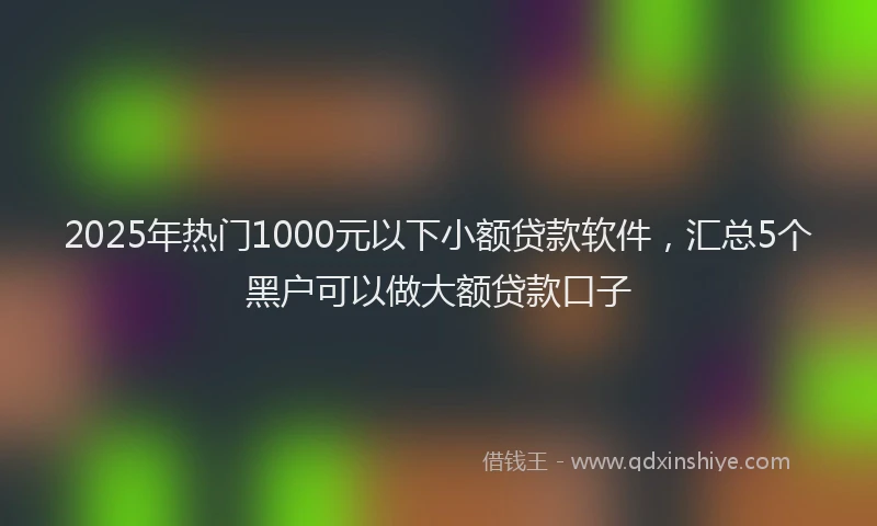 2025年热门1000元以下小额贷款软件，汇总5个黑户可以做大额贷款口子
