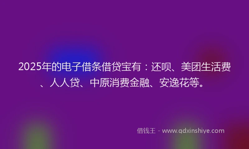 2025年的电子借条借贷宝有：还呗、美团生活费、人人贷、中原消费金融、安逸花等。