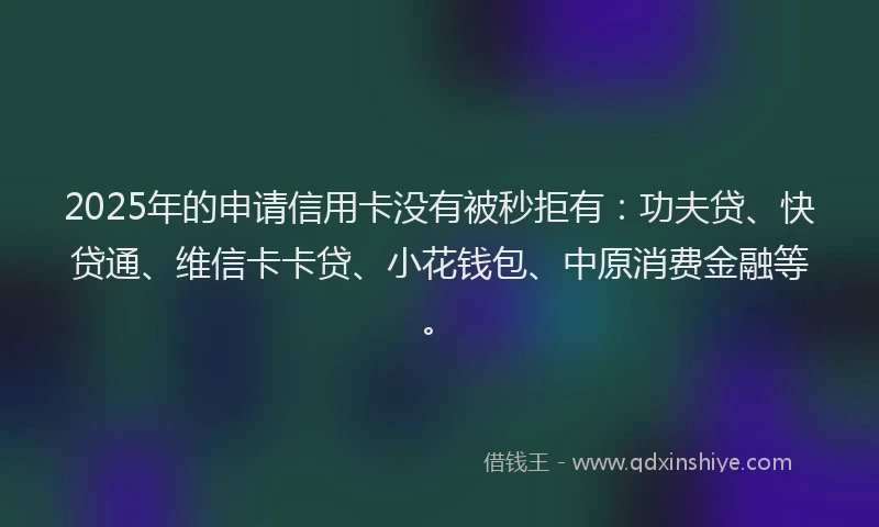 2025年的申请信用卡没有被秒拒有：功夫贷、快贷通、维信卡卡贷、小花钱包、中原消费金融等。