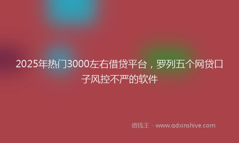 2025年热门3000左右借贷平台，罗列五个网贷口子风控不严的软件