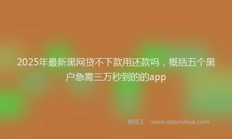 2025年最新黑网贷不下款用还款吗，概括五个黑户急需三万秒到的的app