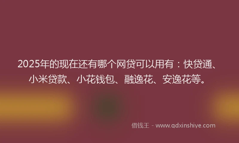 2025年的现在还有哪个网贷可以用有：快贷通、小米贷款、小花钱包、融逸花、安逸花等。