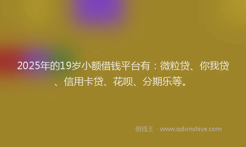 2025年的19岁小额借钱平台有：微粒贷、你我贷、信用卡贷、花呗、分期乐等。