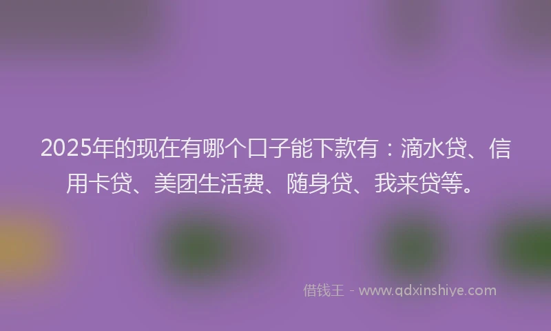 2025年的现在有哪个口子能下款有：滴水贷、信用卡贷、美团生活费、随身贷、我来贷等。