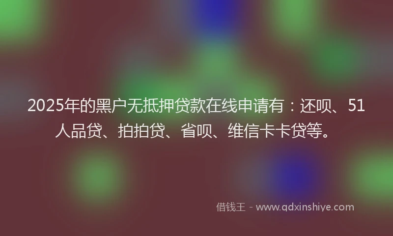 2025年的黑户无抵押贷款在线申请有：还呗、51人品贷、拍拍贷、省呗、维信卡卡贷等。
