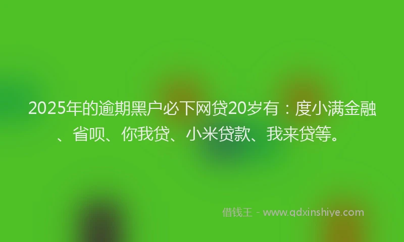 2025年的逾期黑户必下网贷20岁有：度小满金融、省呗、你我贷、小米贷款、我来贷等。