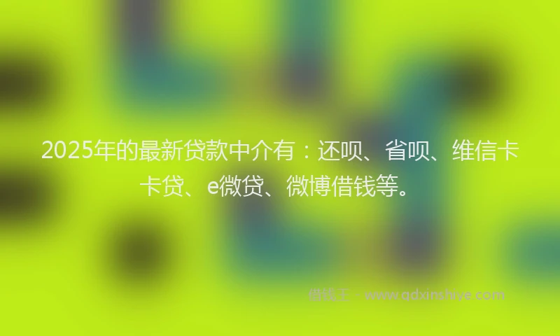 2025年的最新贷款中介有：还呗、省呗、维信卡卡贷、e微贷、微博借钱等。