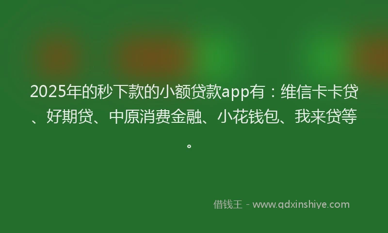 2025年的秒下款的小额贷款app有：维信卡卡贷、好期贷、中原消费金融、小花钱包、我来贷等。