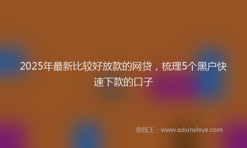2025年最新比较好放款的网贷，梳理5个黑户快速下款的口子