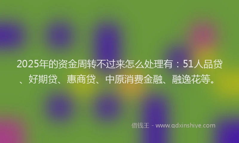 2025年的资金周转不过来怎么处理有：51人品贷、好期贷、惠商贷、中原消费金融、融逸花等。