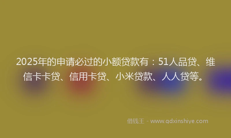 2025年的申请必过的小额贷款有：51人品贷、维信卡卡贷、信用卡贷、小米贷款、人人贷等。