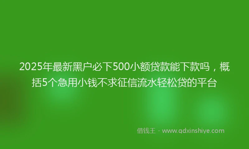 2025年最新黑户必下500小额贷款能下款吗，概括5个急用小钱不求征信流水轻松贷的平台