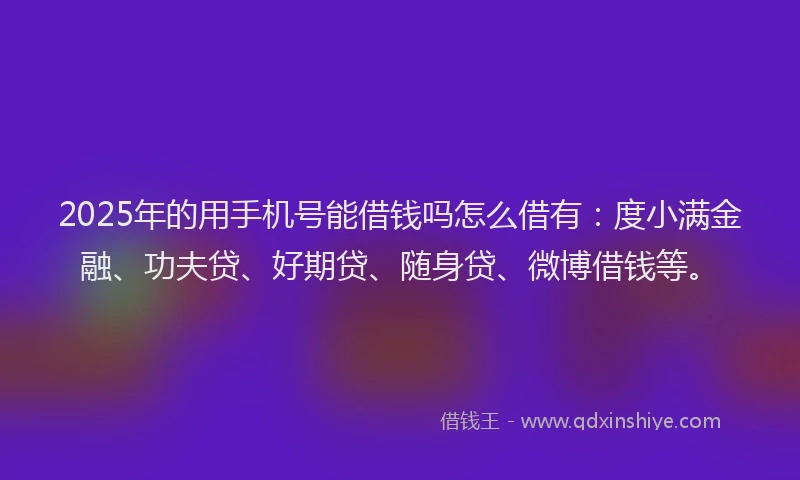 2025年的用手机号能借钱吗怎么借有：度小满金融、功夫贷、好期贷、随身贷、微博借钱等。