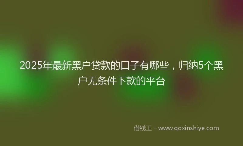 2025年最新黑户贷款的口子有哪些，归纳5个黑户无条件下款的平台