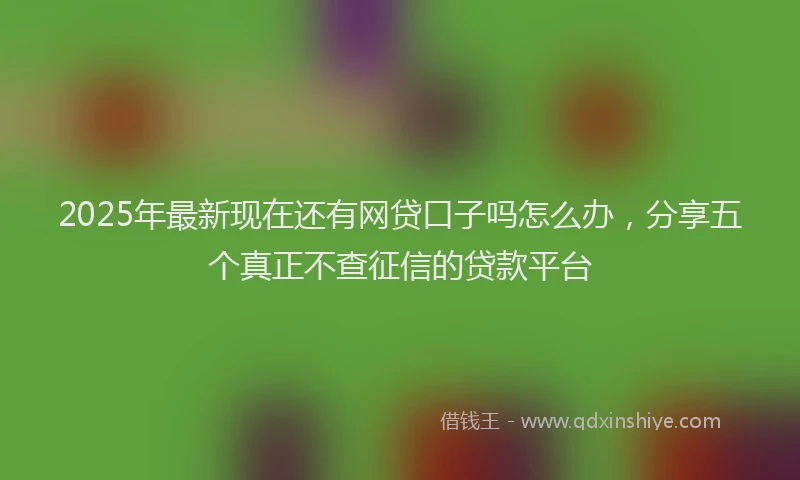 2025年最新现在还有网贷口子吗怎么办，分享五个真正不查征信的贷款平台