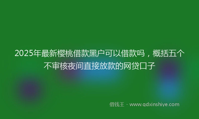 2025年最新樱桃借款黑户可以借款吗，概括五个不审核夜间直接放款的网贷口子