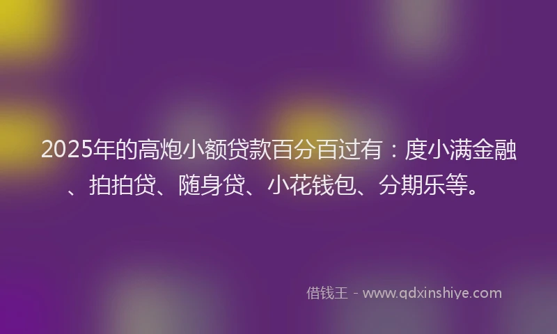 2025年的高炮小额贷款百分百过有：度小满金融、拍拍贷、随身贷、小花钱包、分期乐等。