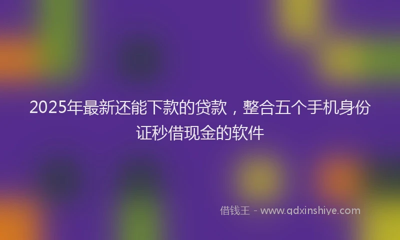 2025年最新还能下款的贷款，整合五个手机身份证秒借现金的软件