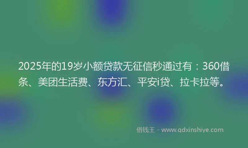 2025年的19岁小额贷款无征信秒通过有：360借条、美团生活费、东方汇、平安i贷、拉卡拉等。