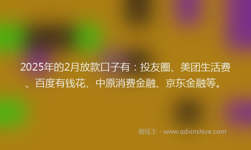 2025年的2月放款口子有：投友圈、美团生活费、百度有钱花、中原消费金融、京东金融等。