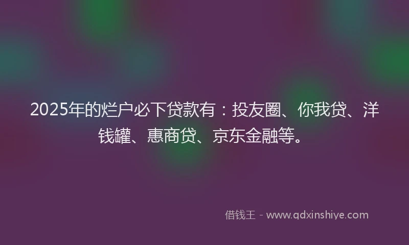 2025年的烂户必下贷款有：投友圈、你我贷、洋钱罐、惠商贷、京东金融等。
