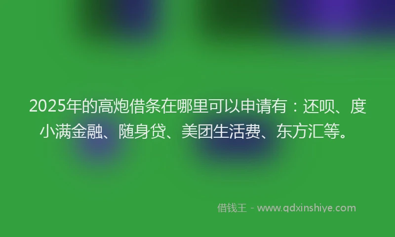 2025年的高炮借条在哪里可以申请有：还呗、度小满金融、随身贷、美团生活费、东方汇等。
