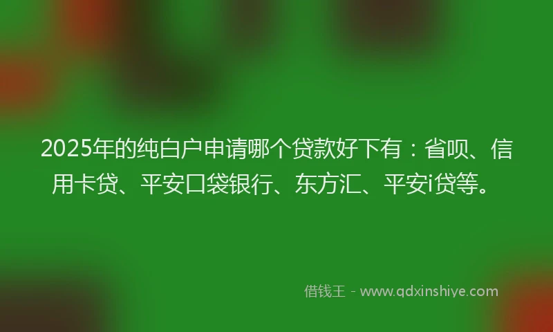 2025年的纯白户申请哪个贷款好下有：省呗、信用卡贷、平安口袋银行、东方汇、平安i贷等。
