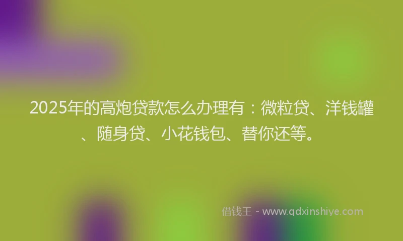 2025年的高炮贷款怎么办理有：微粒贷、洋钱罐、随身贷、小花钱包、替你还等。