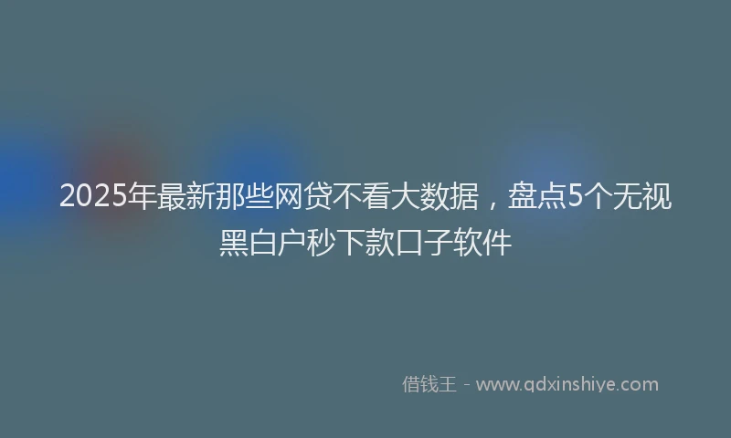 2025年最新那些网贷不看大数据，盘点5个无视黑白户秒下款口子软件