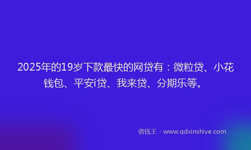 2025年的19岁下款最快的网贷有：微粒贷、小花钱包、平安i贷、我来贷、分期乐等。