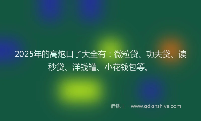 2025年的高炮口子大全有：微粒贷、功夫贷、读秒贷、洋钱罐、小花钱包等。