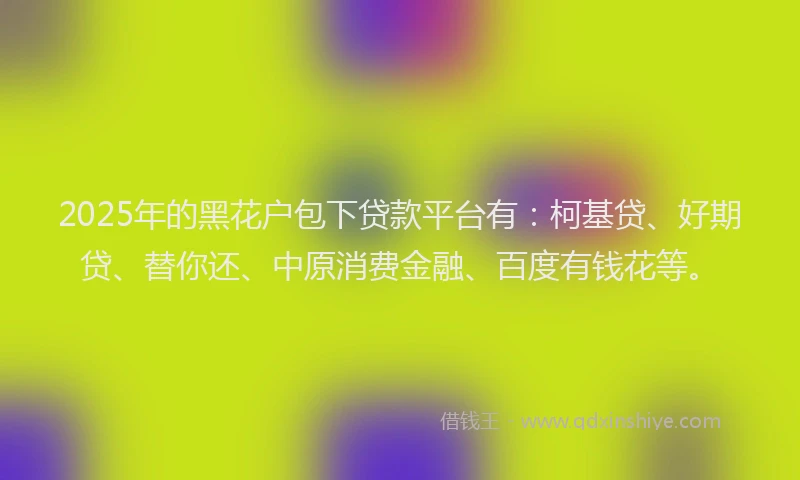 2025年的黑花户包下贷款平台有：柯基贷、好期贷、替你还、中原消费金融、百度有钱花等。