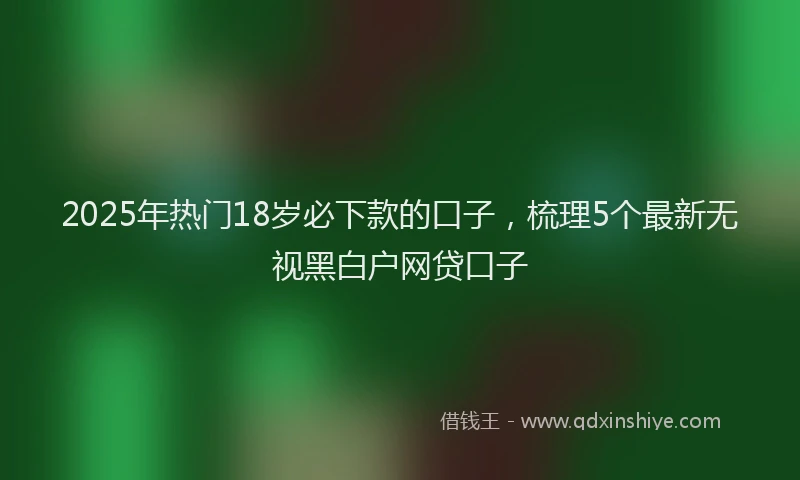 2025年热门18岁必下款的口子，梳理5个最新无视黑白户网贷口子
