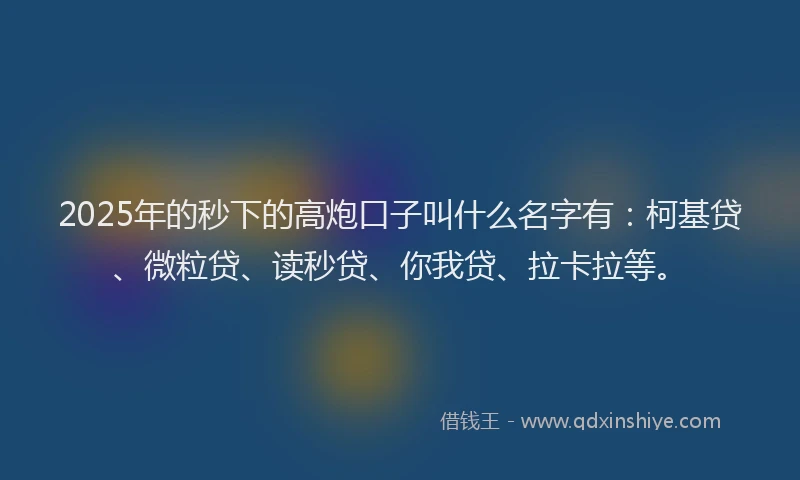 2025年的秒下的高炮口子叫什么名字有：柯基贷、微粒贷、读秒贷、你我贷、拉卡拉等。