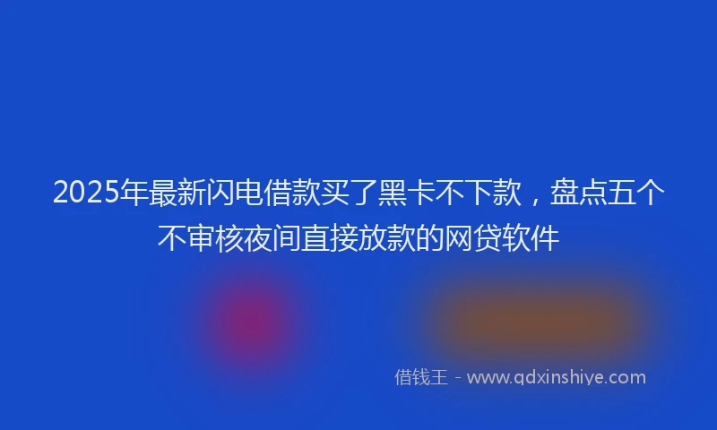 2025年最新闪电借款买了黑卡不下款，盘点五个不审核夜间直接放款的网贷软件