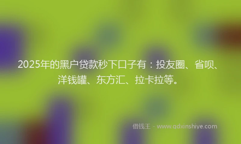 2025年的黑户贷款秒下口子有：投友圈、省呗、洋钱罐、东方汇、拉卡拉等。