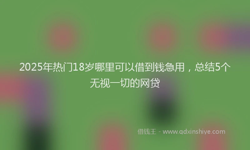2025年热门18岁哪里可以借到钱急用，总结5个无视一切的网贷