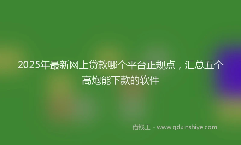 2025年最新网上贷款哪个平台正规点，汇总五个高炮能下款的软件