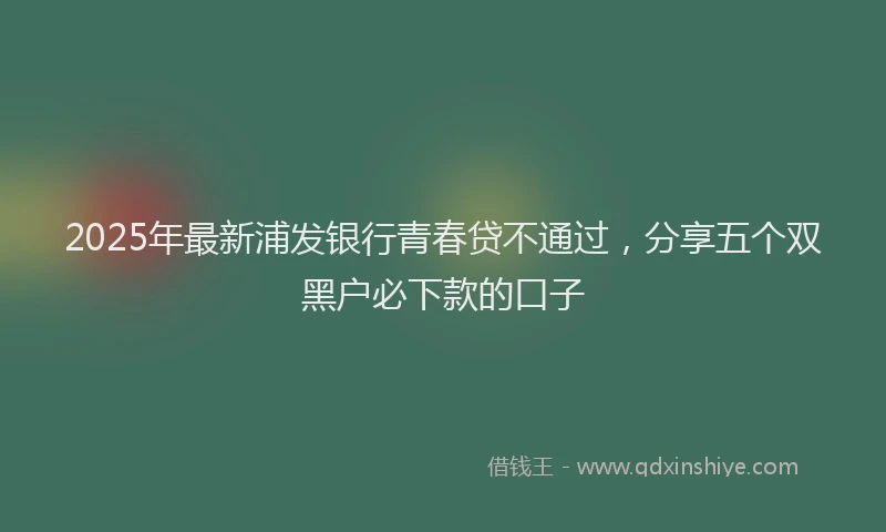 2025年最新浦发银行青春贷不通过，分享五个双黑户必下款的口子