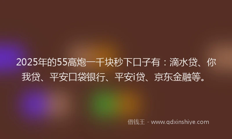 2025年的55高炮一千块秒下口子有：滴水贷、你我贷、平安口袋银行、平安i贷、京东金融等。