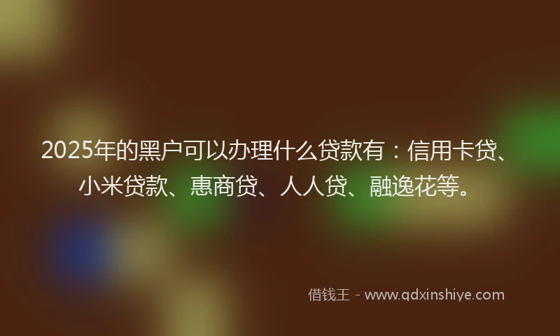 2025年的黑户可以办理什么贷款有：信用卡贷、小米贷款、惠商贷、人人贷、融逸花等。