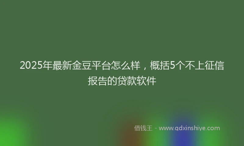 2025年最新金豆平台怎么样，概括5个不上征信报告的贷款软件