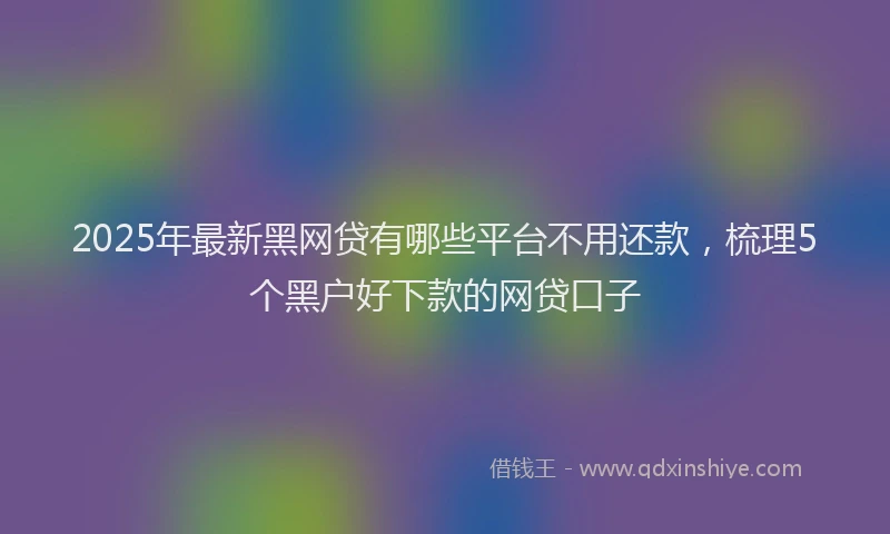 2025年最新黑网贷有哪些平台不用还款，梳理5个黑户好下款的网贷口子