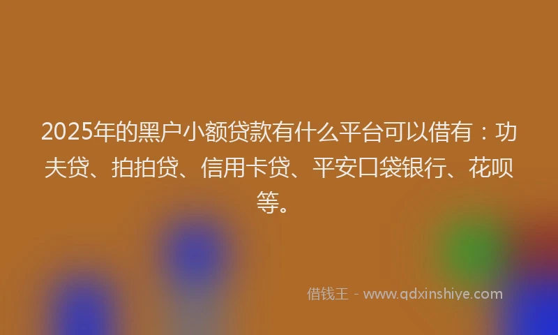 2025年的黑户小额贷款有什么平台可以借有：功夫贷、拍拍贷、信用卡贷、平安口袋银行、花呗等。