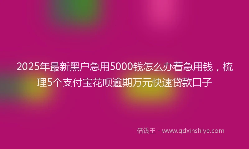 2025年最新黑户急用5000钱怎么办着急用钱，梳理5个支付宝花呗逾期万元快速贷款口子