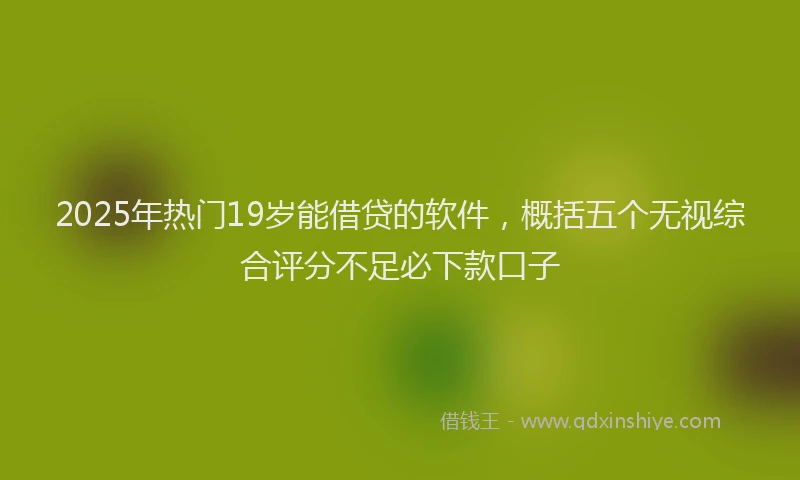 2025年热门19岁能借贷的软件，概括五个无视综合评分不足必下款口子