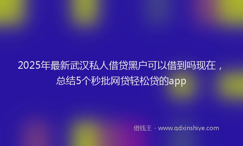 2025年最新武汉私人借贷黑户可以借到吗现在，总结5个秒批网贷轻松贷的app